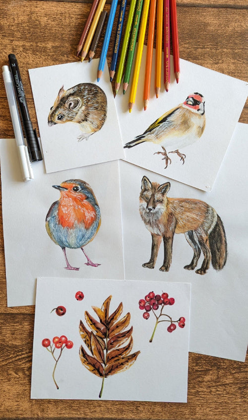 Nature-inspired collection of watercolour sketches featuring a mouse, robin, bird, fox, leaves, and berries, created with watercolour pencils