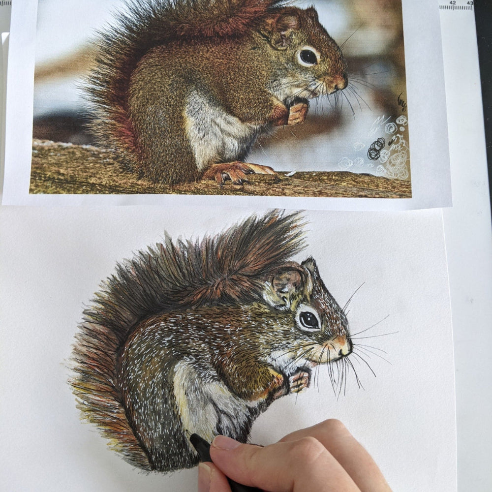 Watercolour sketch of a red squirrel, featured under the section "Supporting the UK's Precious Wildlife," showcasing hand-drawn animal wall art and eco-friendly art prints with a focus on wildlife conservation.