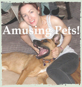 Amusing Pets!