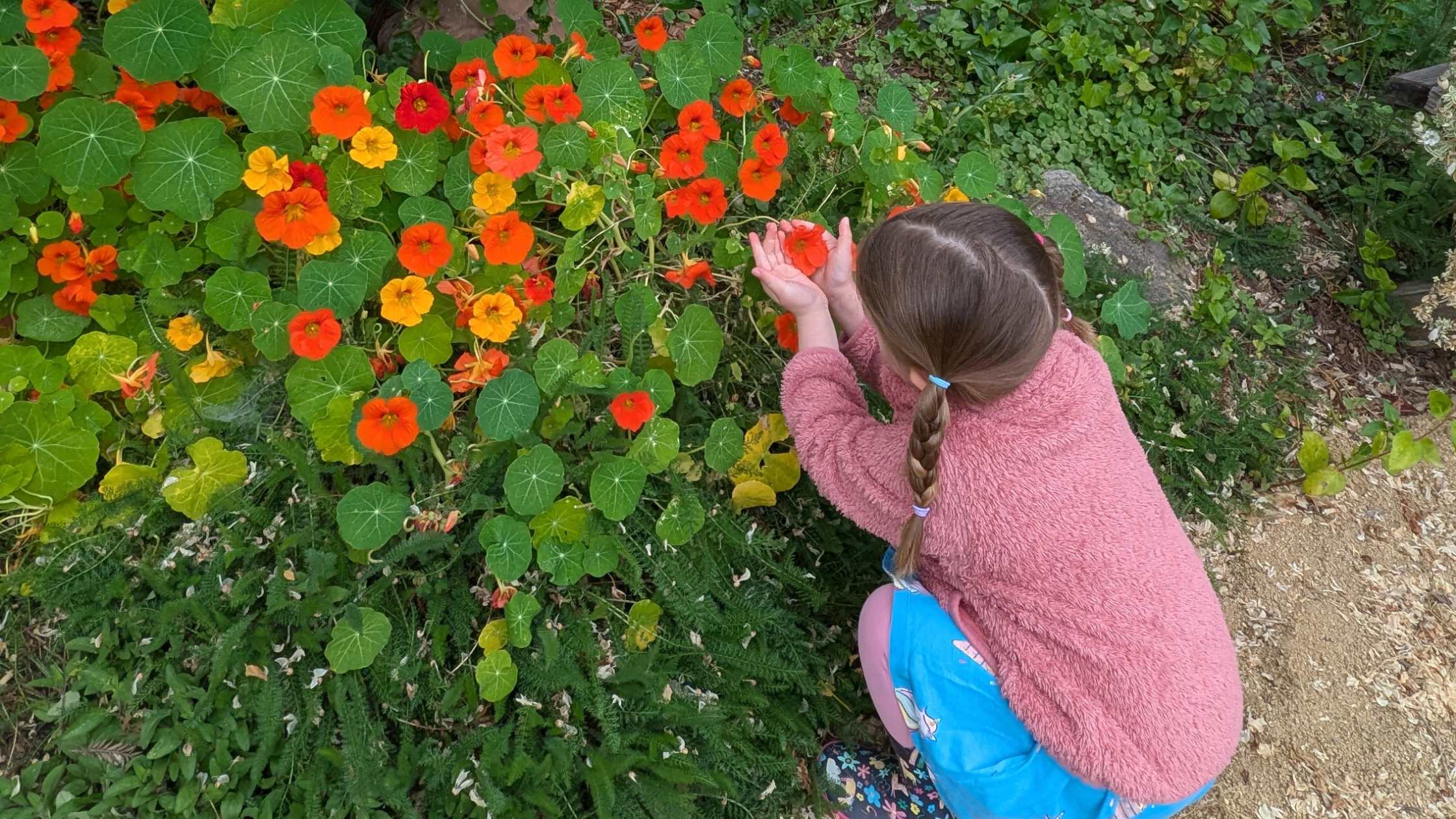 How to Gently Introduce Eco Values to Young Children