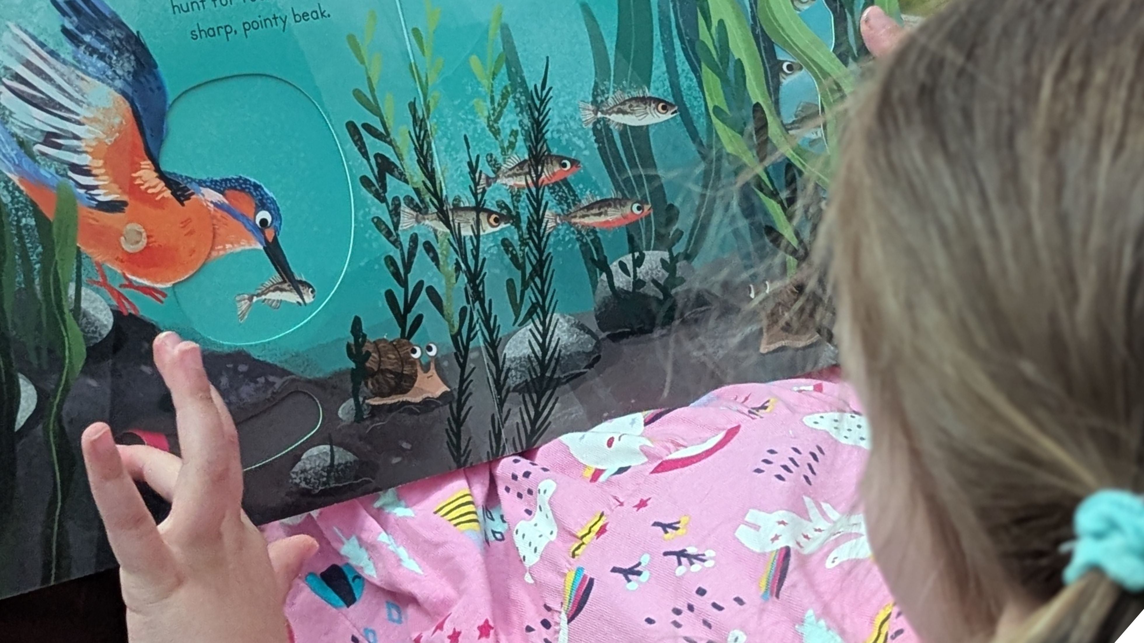 Our Favourite Bedtime Books about Nature, Animals and Kindness