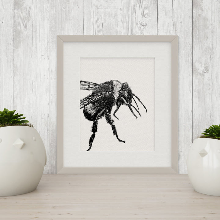 Black and White "Peekaboo" Flora & Fauna Giclee Art Prints