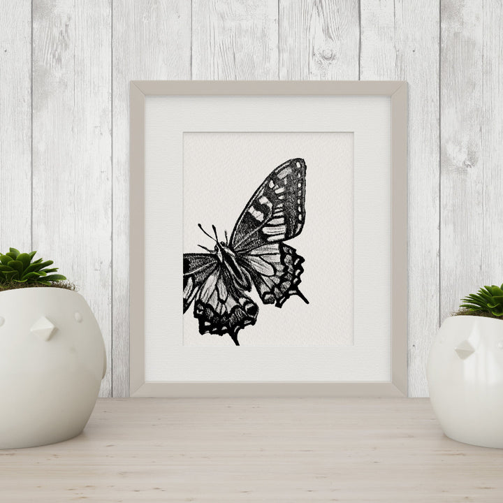 Black and White "Peekaboo" Flora & Fauna Giclee Art Prints