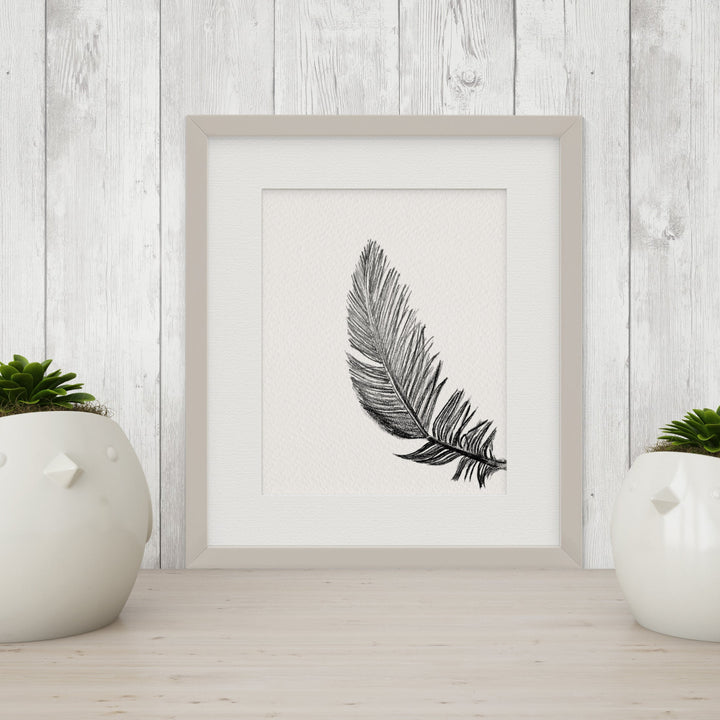 Black and White "Peekaboo" Flora & Fauna Giclee Art Prints