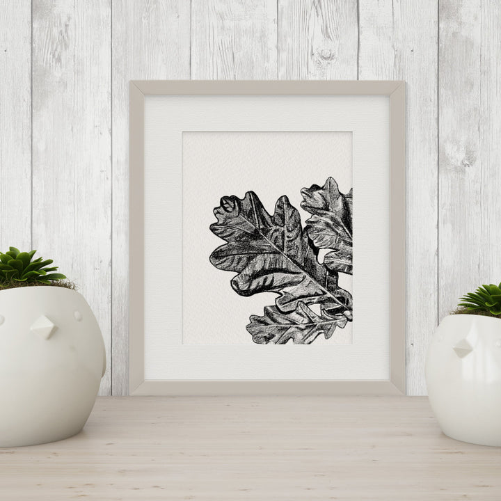 Black and White "Peekaboo" Flora & Fauna Giclee Art Prints