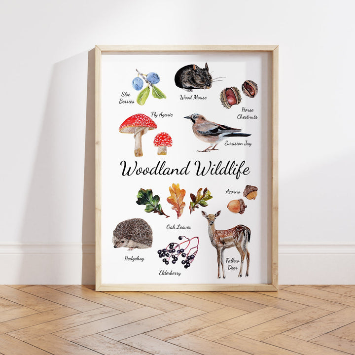 woodland wildlife poster featuring hand drawn deer, hedgehog, toadstools, mouse and other UK wildlife