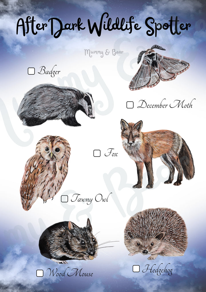 Autumn After Dark Wildlife Spotter printable featuring British nocturnal wildlife illustrations