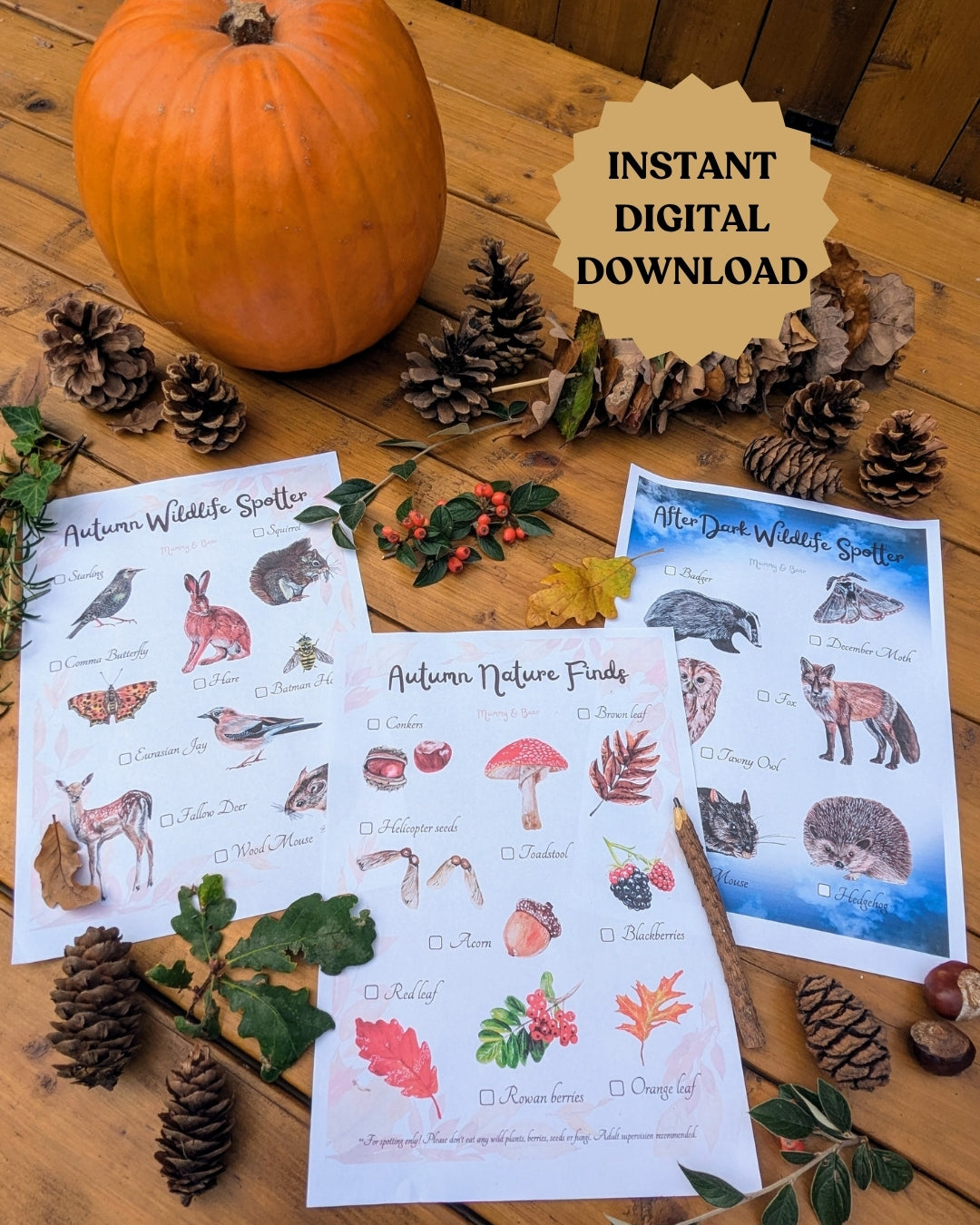 Autumn nature hunt printable sheets styled with pumpkins, leaves and pine cones