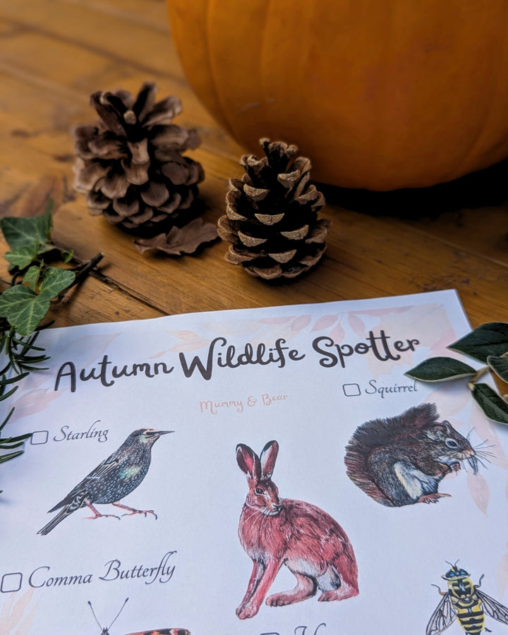 Autumn Wildlife Spotter printable sheet styled with pine cones and autumn leaves