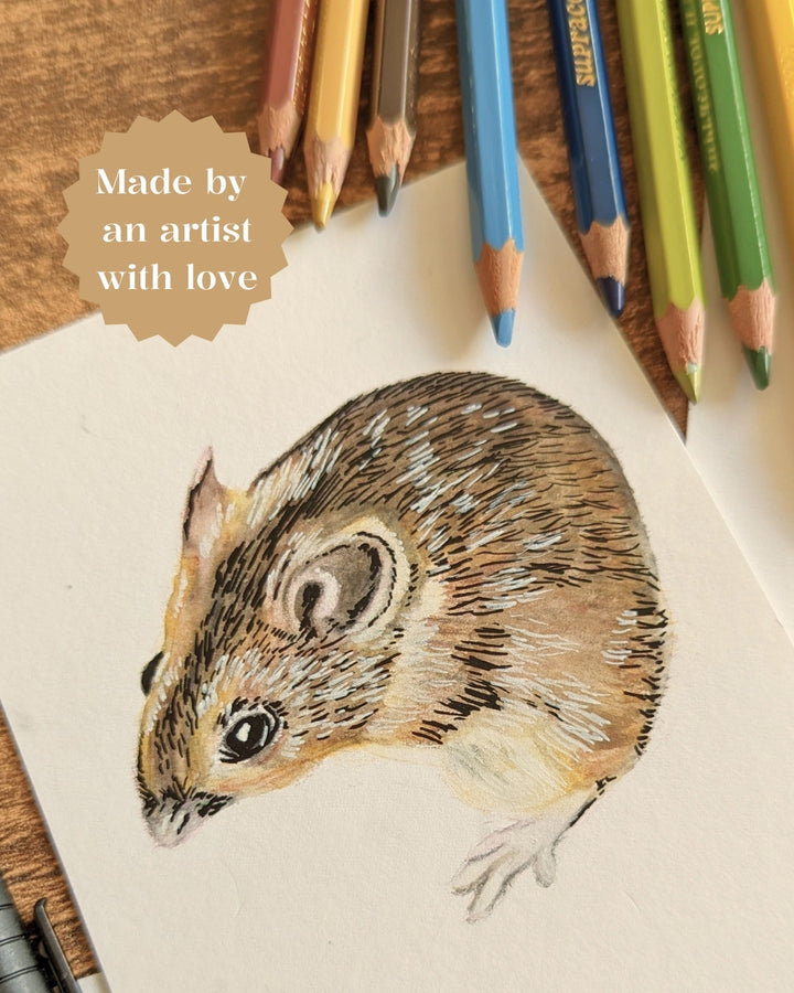 Hand-drawn mouse wildlife illustration with watercolour pencils