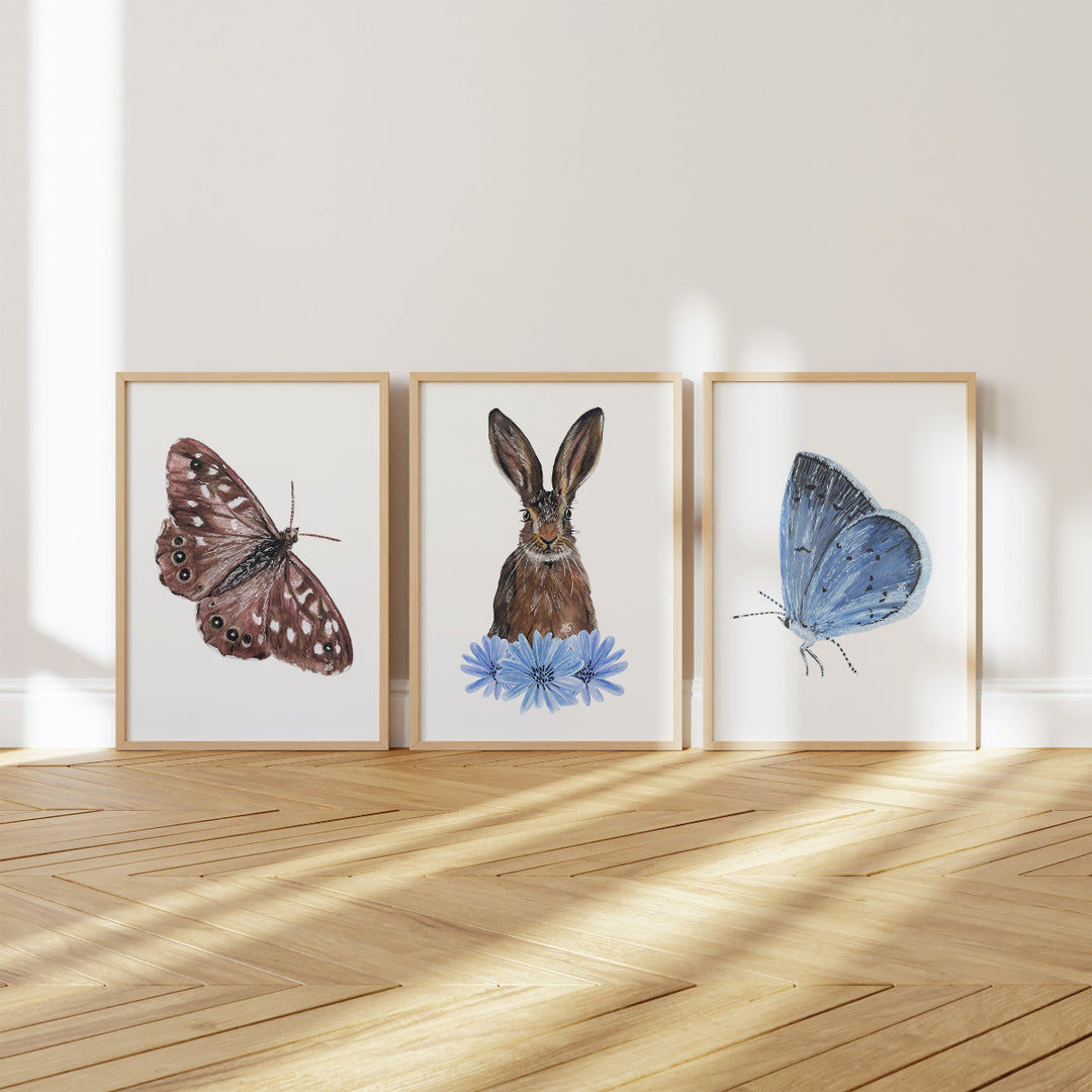 A set of three nature-inspired art prints featuring hand-sketched designs of a hare, a blue butterfly, and a brown butterfly—ideal for licensed children’s décor and wildlife-themed product collaborations.