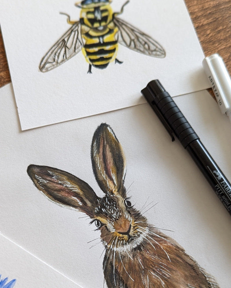 Nature-inspired watercolour painting of a hare and hoverfly, available for product design licensing and wildlife-themed brand collaborations